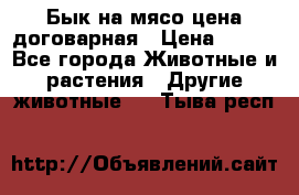 Бык на мясо цена договарная › Цена ­ 300 - Все города Животные и растения » Другие животные   . Тыва респ.